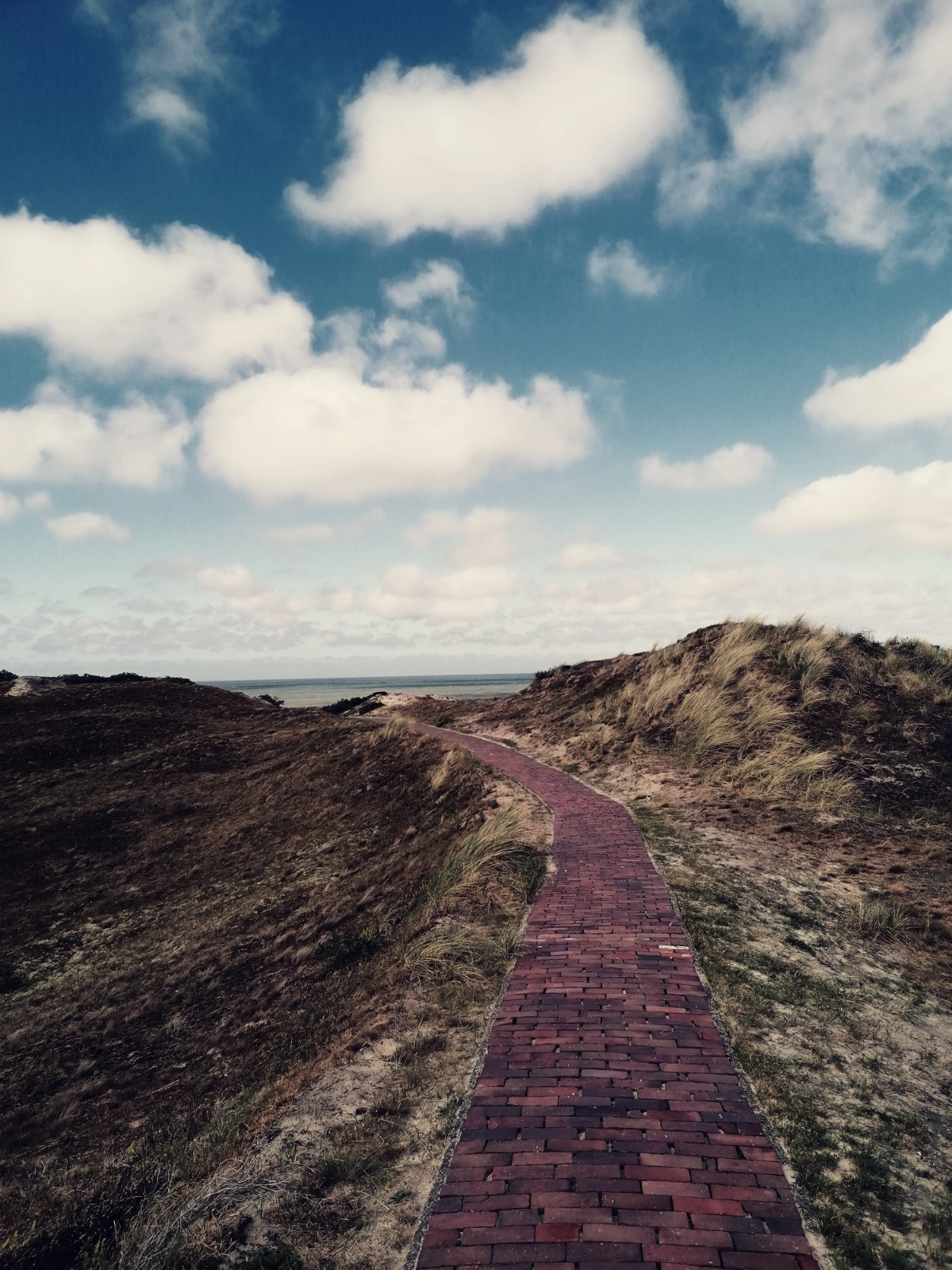 Ein gepflasterter Weg führt über eine bewachsene Düne zum Meer. Am Himmel sind einige weiße Wolken