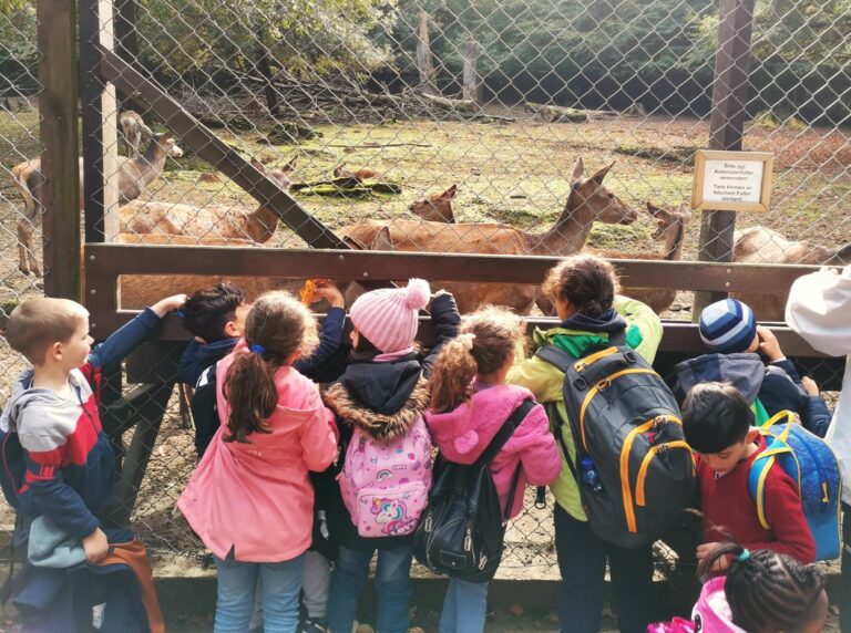 Kinder mit Mützen stehen an einem Holzgehege und betrachten die Rehe im Hintergrund und füttern sie.