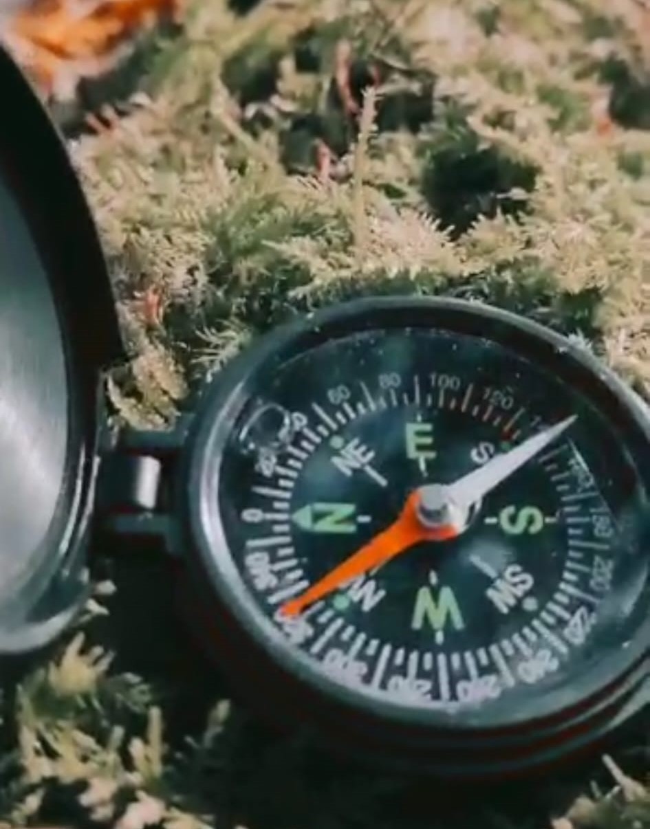 Nahaufnahme eines Kompass, dessen rote Nadel nach Nordwesten zeigt, liegt auf Waldboden.