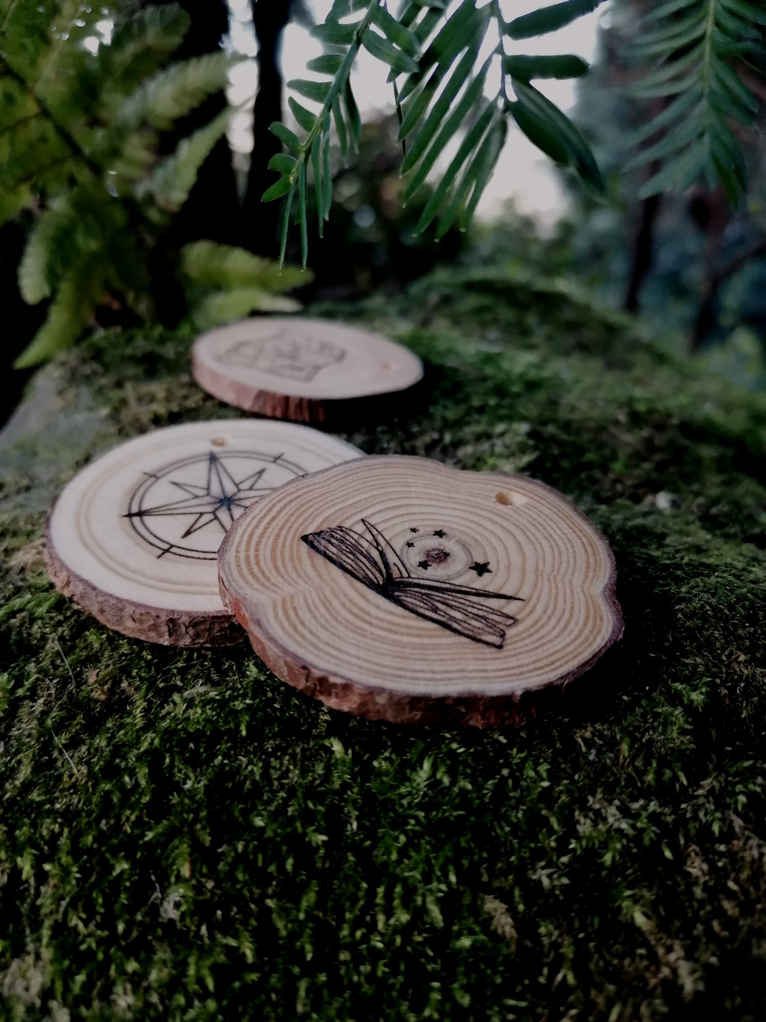 Holzscheiben mit magischen Symbolen liegen auf einem moosbedeckten Baum
