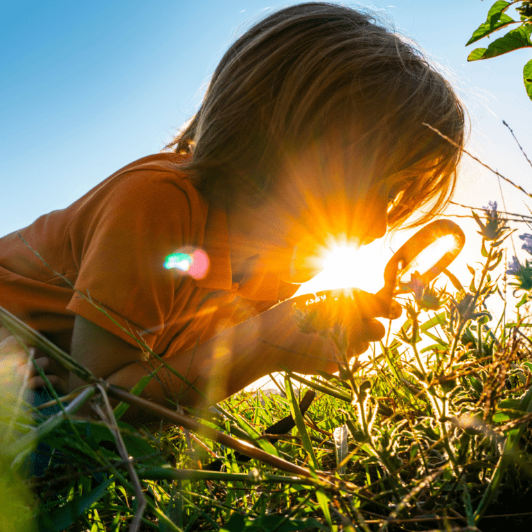 In Kind untersucht eine Pflanze bei stahlendem Sonnenschein