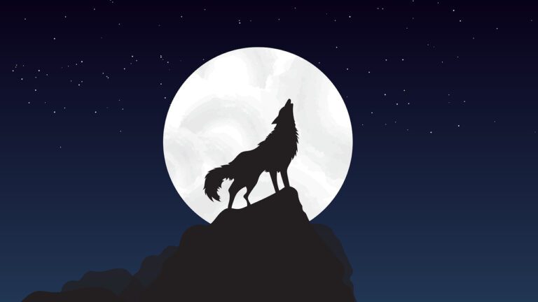 Gezeichneter Wolf heult vor Vollmond